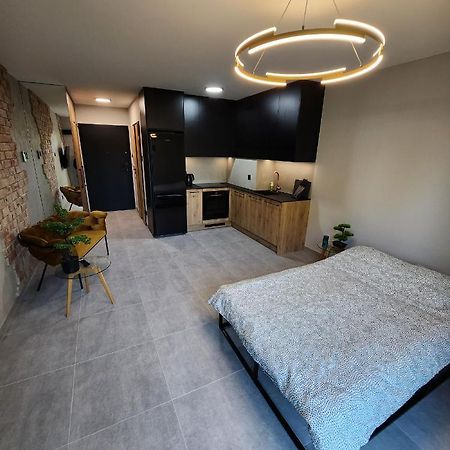 كراكوفيا Przystan Nad Wisla Gym,Pool And Spa Free Parking المظهر الخارجي الصورة